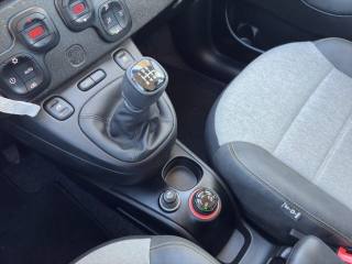 FIAT Panda Cross usata, con Autoradio digitale