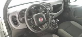 FIAT Panda usata 39