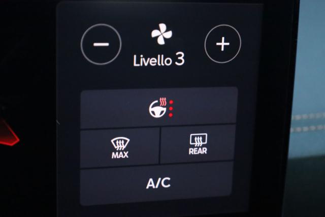 CUPRA Formentor usata, con Volante multifunzione