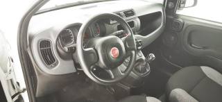 FIAT Panda usata 28