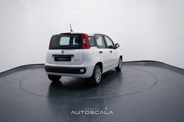 FIAT New Panda usata, con Climatizzatore