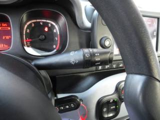 FIAT Panda Cross usata 28
