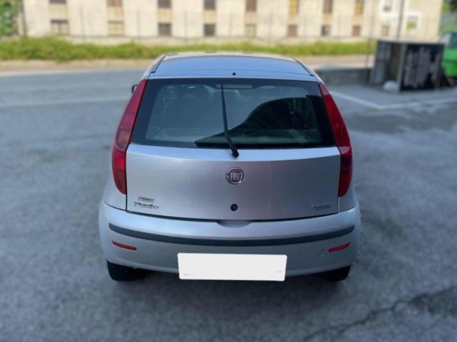 FIAT Punto usata, con Servosterzo