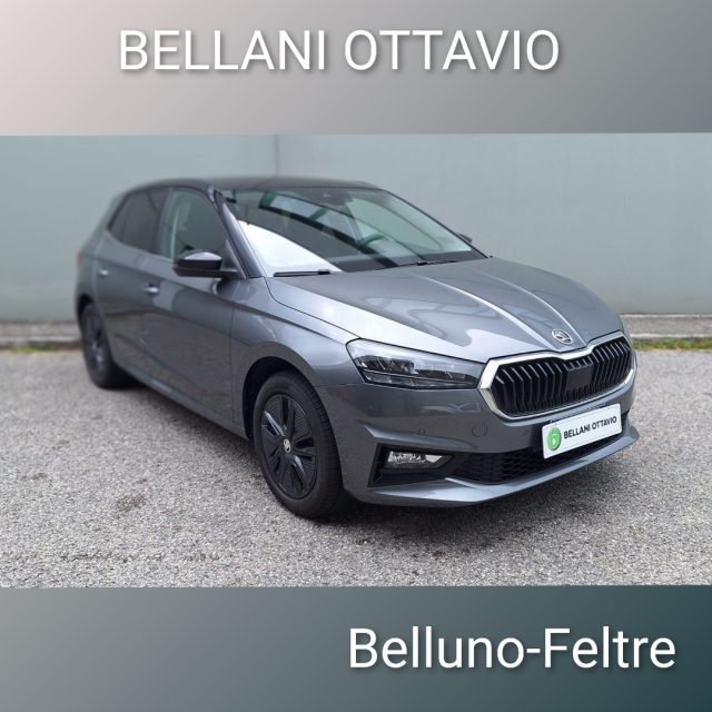 SKODA Fabia usata, con ABS