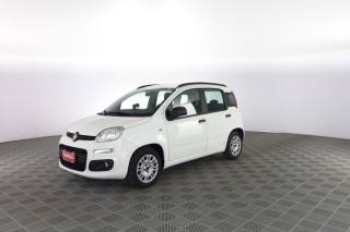 FIAT Panda usata 6