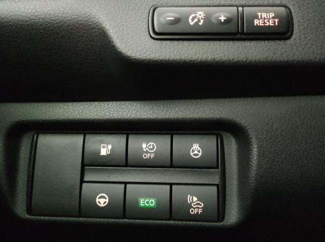 NISSAN Leaf usata, con Immobilizzatore elettronico