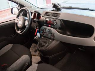 FIAT Panda usata, con Controllo trazione