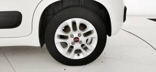 FIAT Panda usata 64