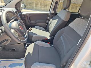 FIAT Panda usata, con Immobilizzatore elettronico
