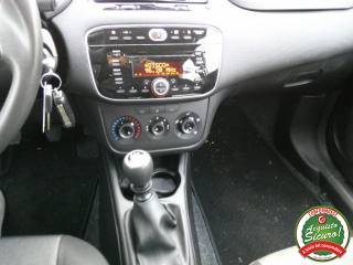 FIAT Punto usata 16