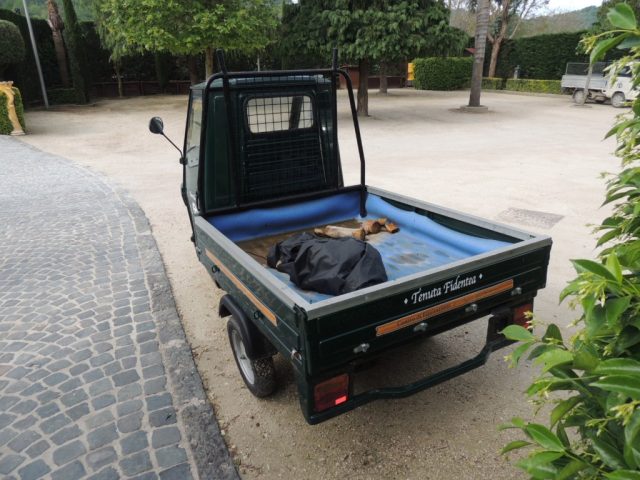PIAGGIO Ape usata 6