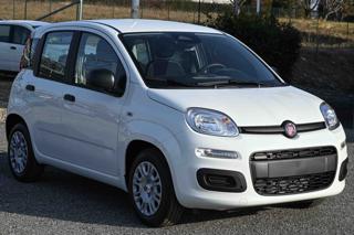 FIAT Panda usata, con Airbag Passeggero