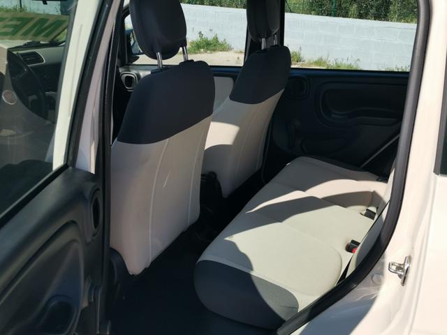 FIAT Panda usata, con Cronologia tagliandi