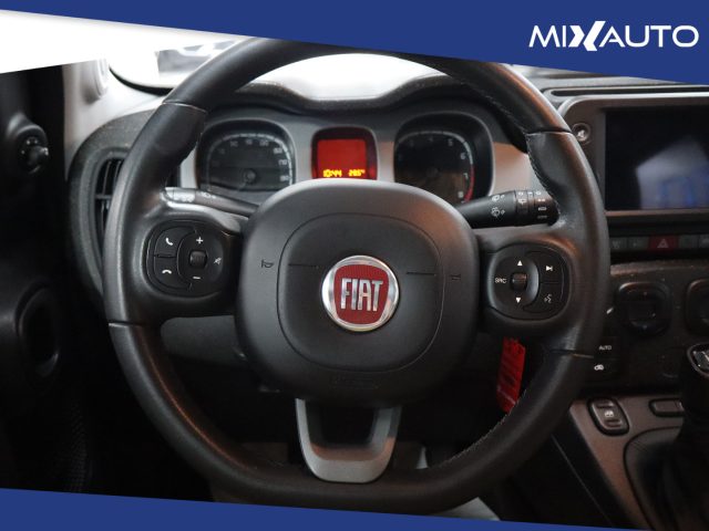 FIAT Panda Cross usata, con Controllo automatico clima
