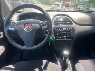 FIAT Punto usata, con Fendinebbia
