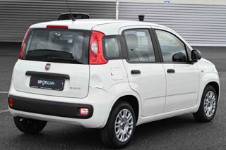 FIAT Panda usata, con Antifurto
