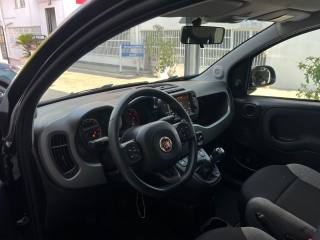 FIAT Panda usata 32