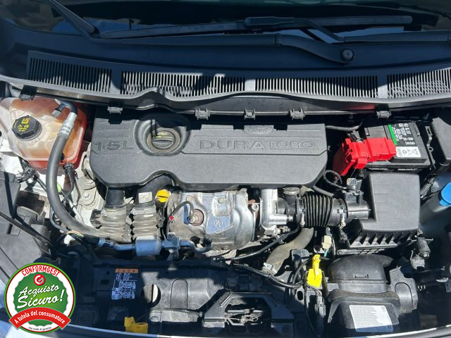 FORD usata 19