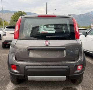 FIAT Panda usata, con Antifurto