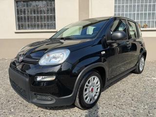 FIAT Panda IN PROMOZIONE!!!1.0 FireFly S&S Hybrid