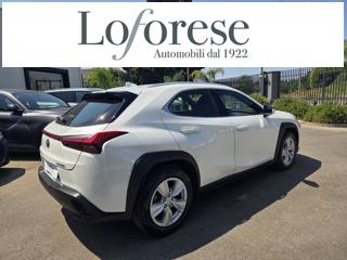 LEXUS UX 250h usata, con Volante in pelle
