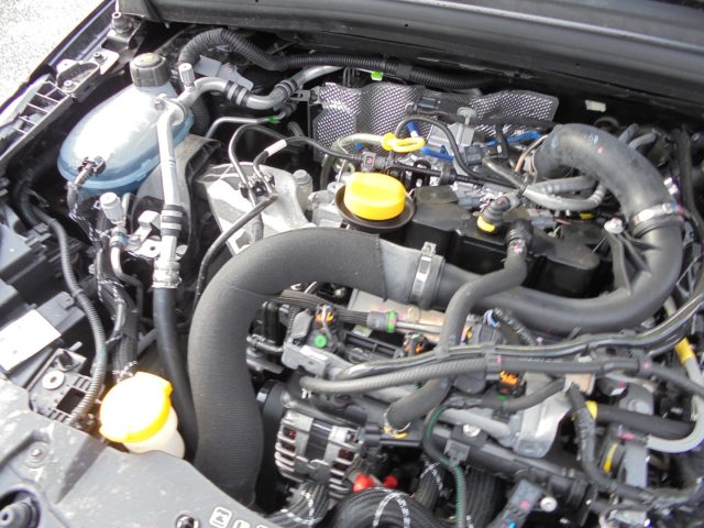 RENAULT Clio usata 44