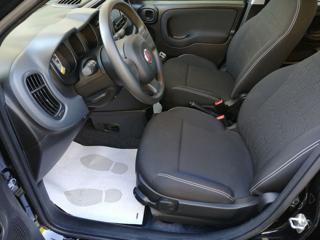 FIAT Panda usata, con Climatizzatore