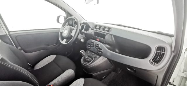 FIAT Panda usata 44