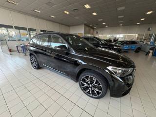 BMW X1 xDrive25e Business Advantage