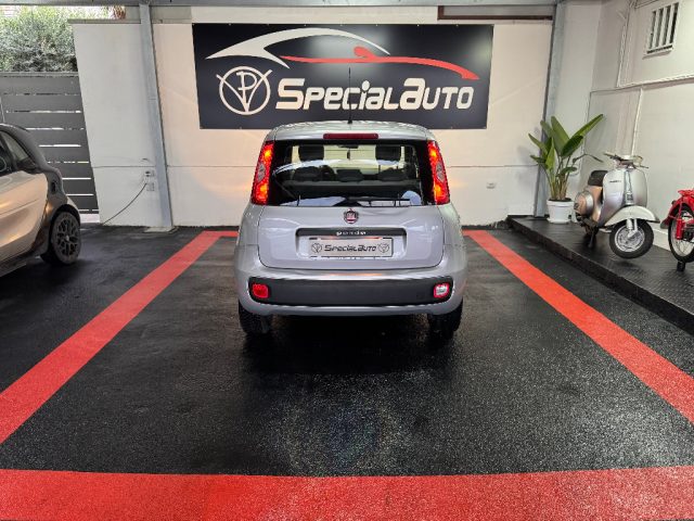 FIAT Panda usata 5