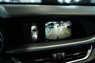 ALFA ROMEO Stelvio usata, con ESP