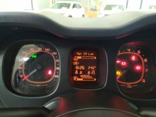 FIAT Panda usata, con Fendinebbia