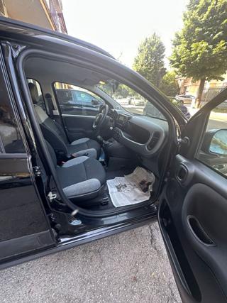 FIAT Panda usata, con USB