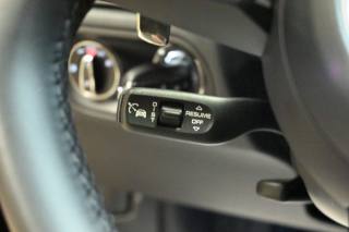 PORSCHE Macan usata 174