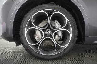 ALFA ROMEO Stelvio usata 14