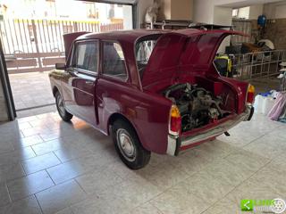 AUTOBIANCHI Bianchina usata 10