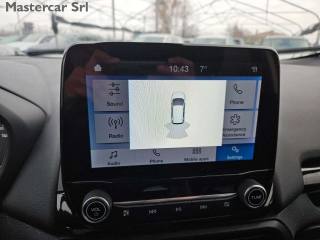 FORD EcoSport usata, con Fendinebbia