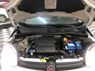 FIAT Panda usata 19