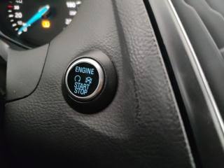 FORD Focus usata, con Vetri oscurati