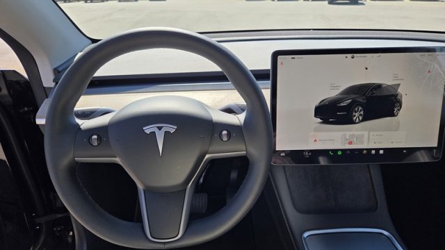 TESLA Model Y usata, con ESP