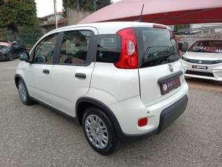 FIAT Panda usata, con Antifurto