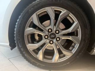 FORD Focus usata 23