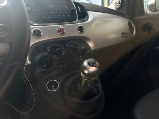 FIAT 500 usata 36