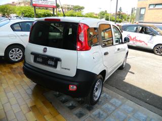 FIAT Panda usata, con Airbag Passeggero