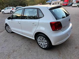 VOLKSWAGEN Polo usata, con Cronologia tagliandi