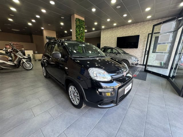 FIAT Panda usata, con Airbag Passeggero