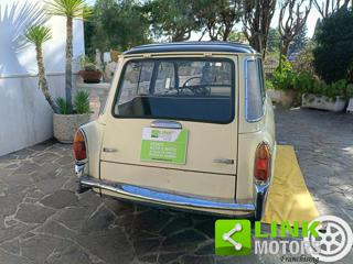 AUTOBIANCHI Bianchina usata 29