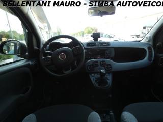 FIAT Panda usata, con Airbag testa