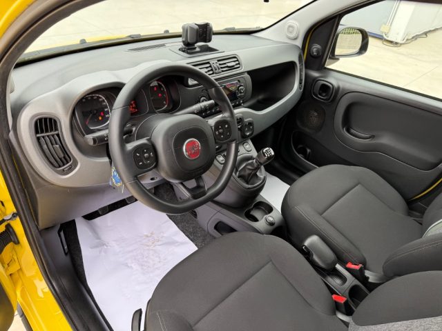 FIAT Panda usata 15