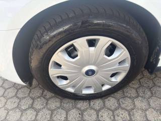 FORD Tourneo Connect usata, con Bracciolo